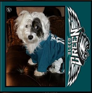 Meet your Posher, Debbie